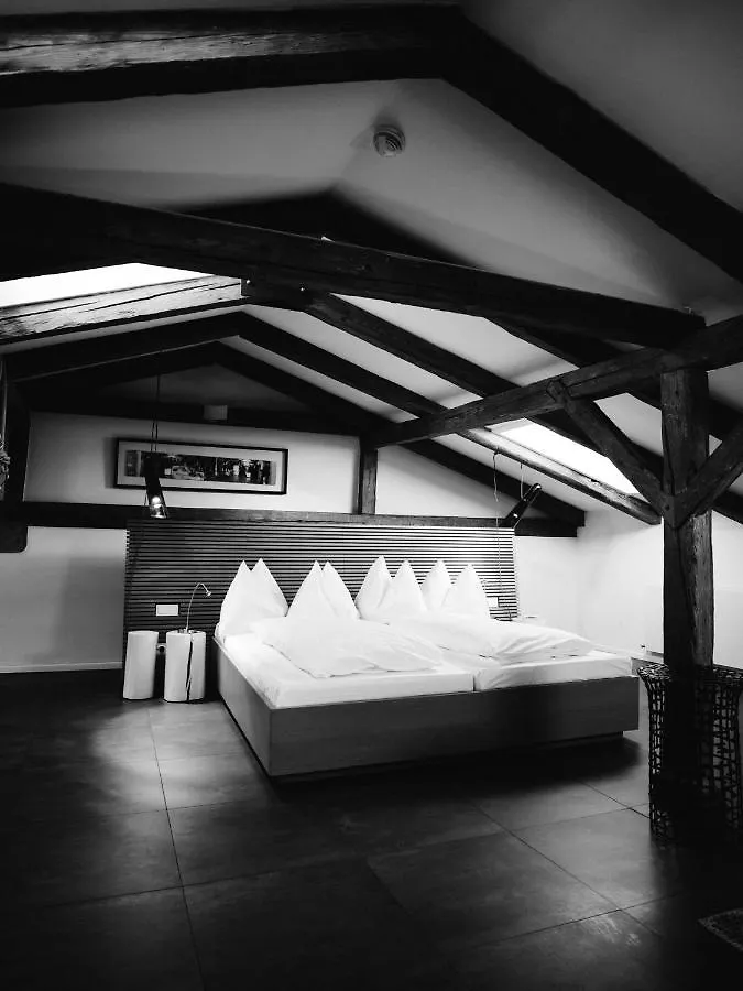 Arthotel Blaue Gans Salzburg