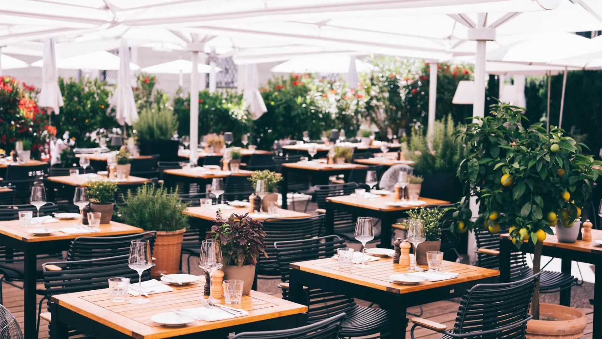 Arthotel Blaue Gans Salzburg Austria