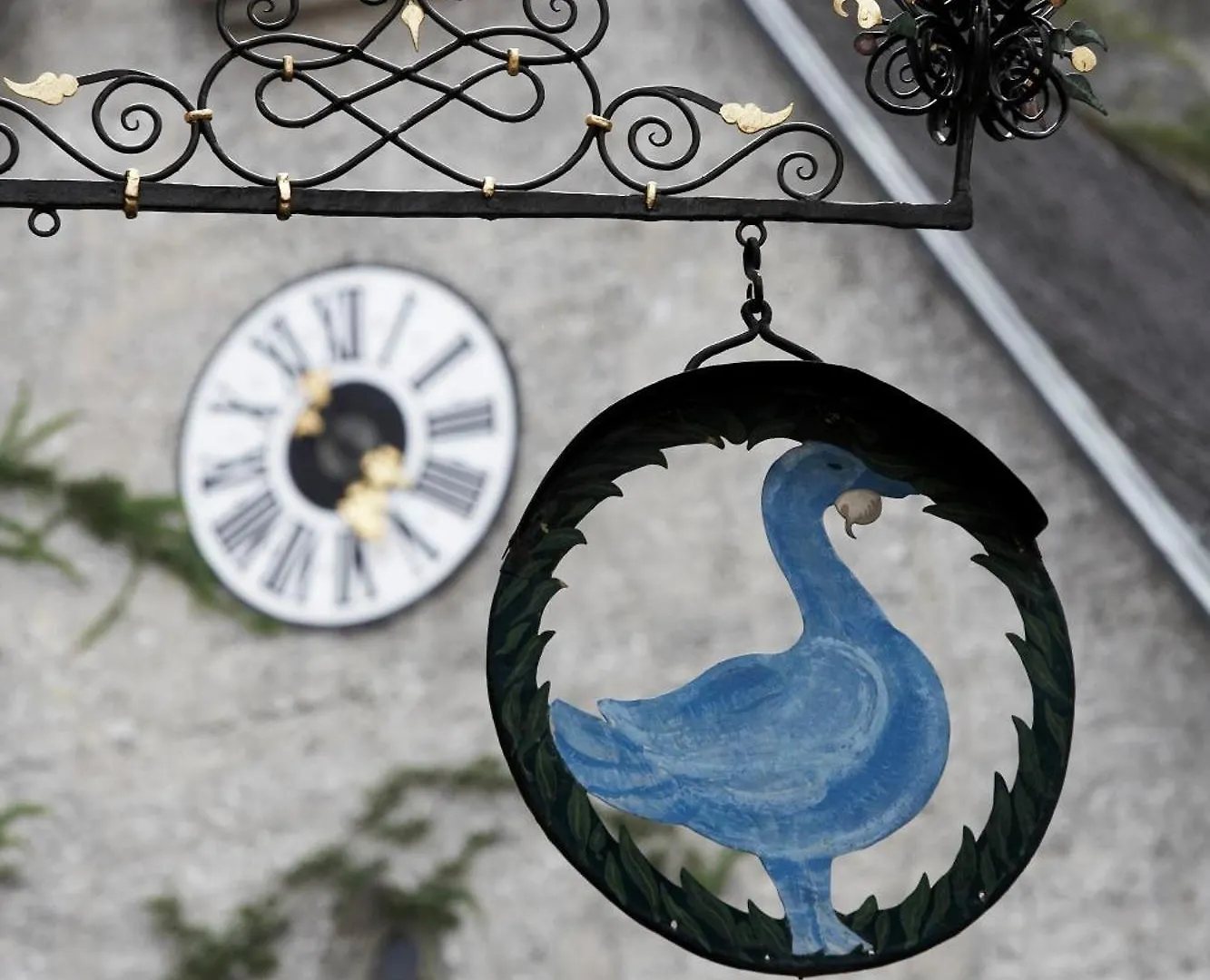 Arthotel Blaue Gans Salzburg Hotel